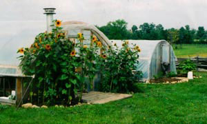 Greenhouses Greenhouses